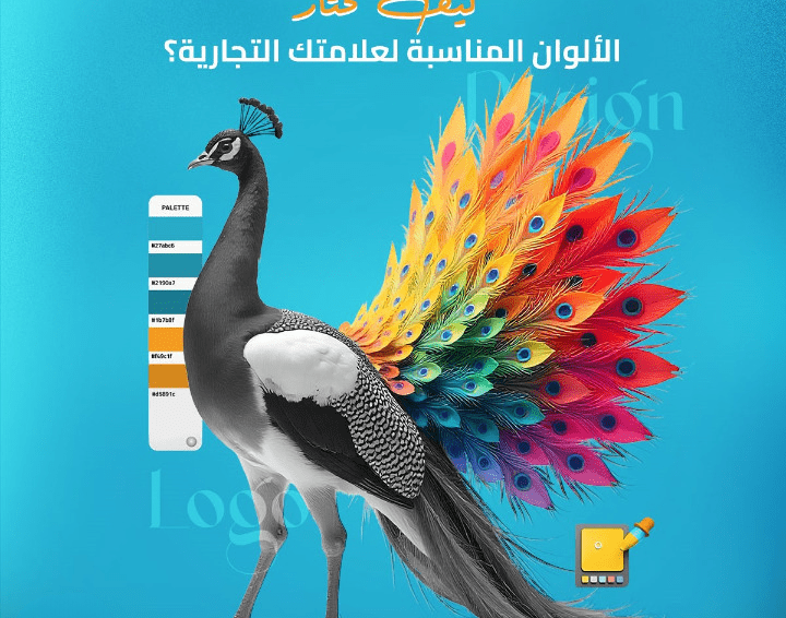 كيف تختار الالوان_cleanup