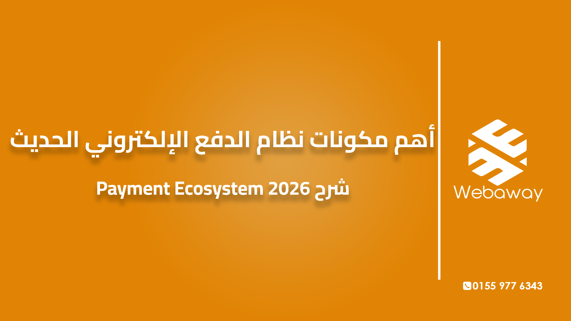 أهم مكونات نظام الدفع الإلكتروني الحديث شرح Payment Ecosystem 2026